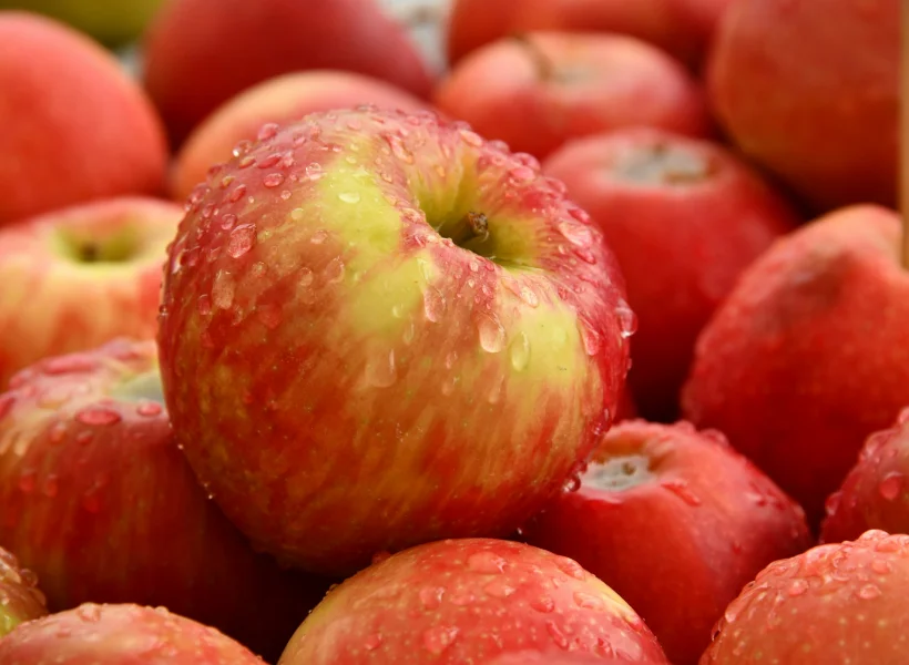 Maçãs | Área de Serviço de Autocaravanas de Leomil