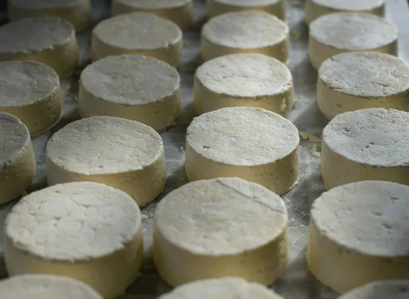 Queijos | Área de Serviço de Autocaravanas de Leomil